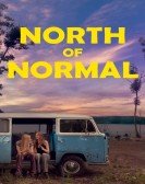 North of Normal Free Download