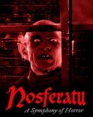 Nosferatu: A Symphony of Horror Free Download