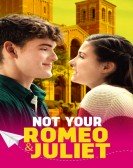 Not Your Romeo & Juliet Free Download