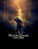Notre-Dame on Fire Free Download