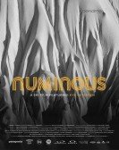 Numinous Free Download