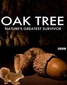 poster_oak-tree-natures-greatest-survivor_tt5086852.jpg Free Download