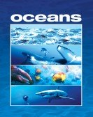 poster_ocacans_tt0765128.jpg Free Download