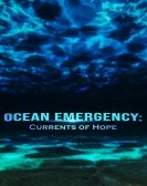 Ocean Emergency: Currents of Hope Free Download