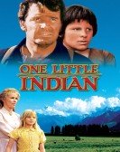 poster_one-little-indian_tt0070481.jpg Free Download