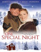 poster_one-special-night_tt0165543.jpg Free Download