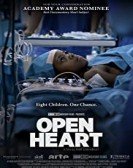 poster_open-heart_tt2348322.jpg Free Download