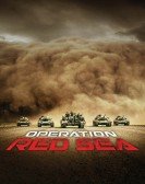 Operation Red Sea poster