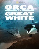 Orca Vs. Great White Free Download