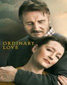 poster_ordinary-love_tt6012380.jpg Free Download