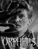 poster_orpheus_tt0041719.jpg Free Download