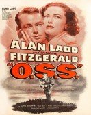 O.S.S. poster