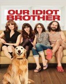 Our Idiot Brother poster