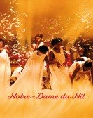 Our Lady of the Nile Free Download