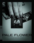 Pale Flower poster