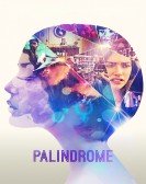 poster_palindrome_tt10464930.jpg Free Download