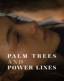 poster_palm-trees-and-power-lines_tt15257116.jpg Free Download