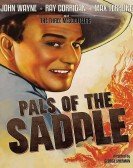 Pals of the Saddle Free Download