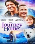 Pandas: The Journey Home Free Download