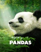 Pandas Free Download