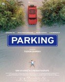 Parking Free Download