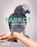 Parrot Confidential Free Download