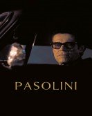 poster_pasolini_tt3125652.jpg Free Download