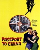 Visa to Canton poster