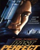 Past Perfect Free Download