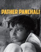 poster_pather-panchali_tt0048473.jpg Free Download