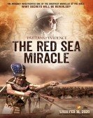 Patterns of Evidence: The Red Sea Miracle Free Download