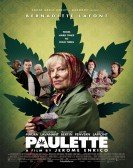 poster_paulette_tt2215395.jpg Free Download