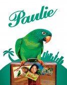 Paulie (1998) poster