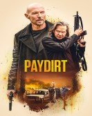 Paydirt Free Download