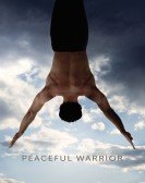 Peaceful Warrior poster