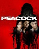 Peacock Free Download