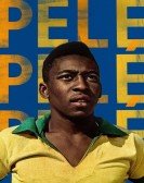 PelÃ© Free Download