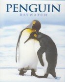 Penguin Baywatch Antarctica Free Download