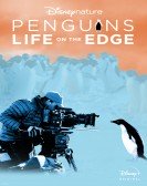 Penguins: Life on the Edge Free Download