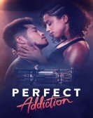 Perfect Addiction Free Download