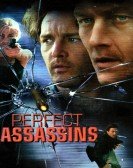 poster_perfect-assassins_tt0139082.jpg Free Download