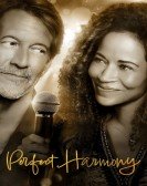 poster_perfect-harmony_tt21858442.jpg Free Download