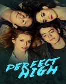 poster_perfect-high_tt4340888.jpg Free Download