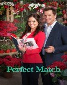 poster_perfect-match_tt4526950.jpg Free Download