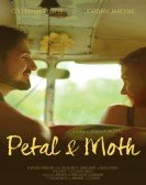 Petal and Moth Free Download