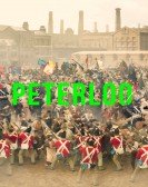 Peterloo (2018) Free Download