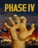 Phase IV poster