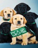 Pick of the Litter Free Download