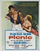 Picnic Free Download