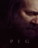 Pig Free Download